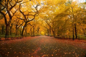 Travel Nurses: Top 5 reasons why you should pick NYC as your fall travel nursing destination